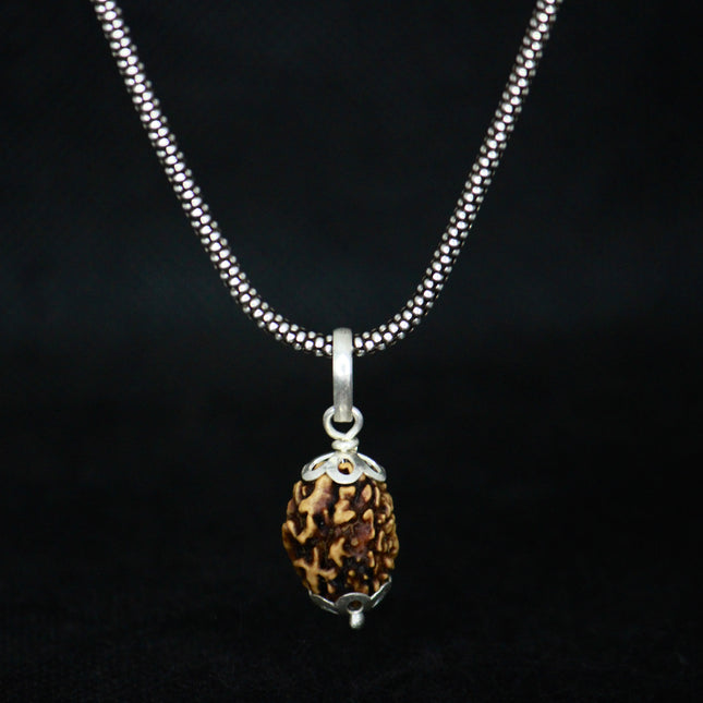3 Mukhi original Rudraksha with Silver Chain