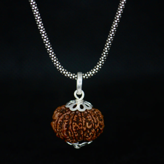10 Mukhi Original Rudraksha With Silver Chain