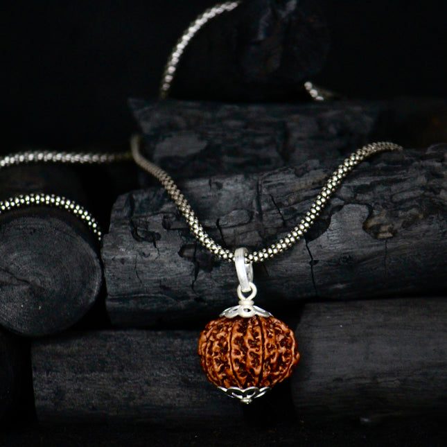 11 Mukhi Original Rudraksha With Silver Chain