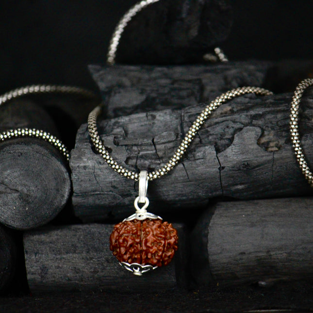 9 Mukhi Original Rudraksha