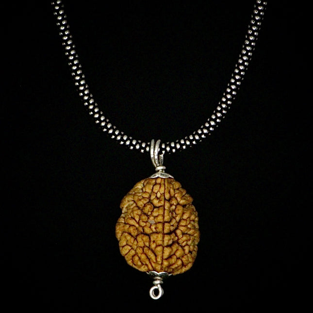 2 Mukhi Rudraksha Pendent