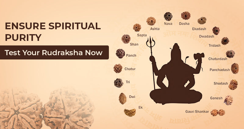 Unveiling the Authenticity : How to Test Original Rudraksha