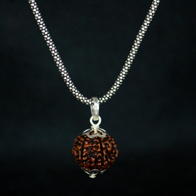 6 Mukhi Original Rudraksha with Silver Chain