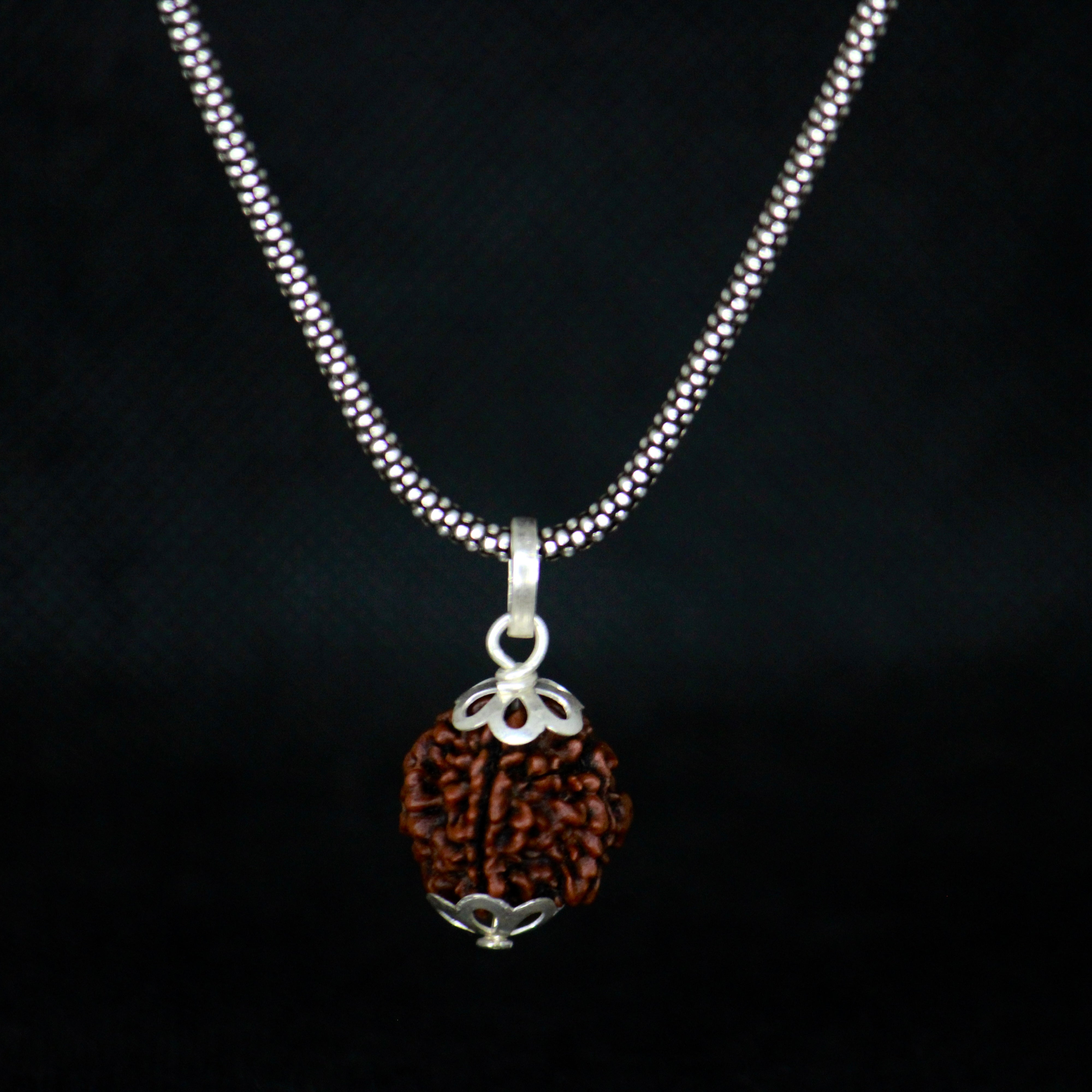 Mukhi Original Rudraksha Pendant with Silver Chain