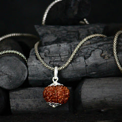 9 Mukhi Original Rudraksha 